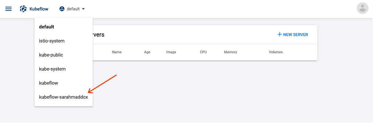 Selecting a Kubeflow namespace